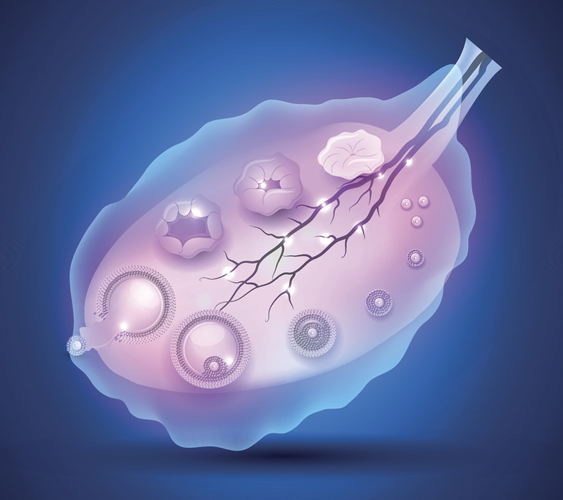 〖2026年聊城试管私介绍2026年哪家助孕机构口碑好值得考虑？〗